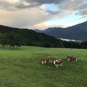 2017-Friuli-Carinzia-11