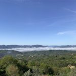 2017-Pasqua-07